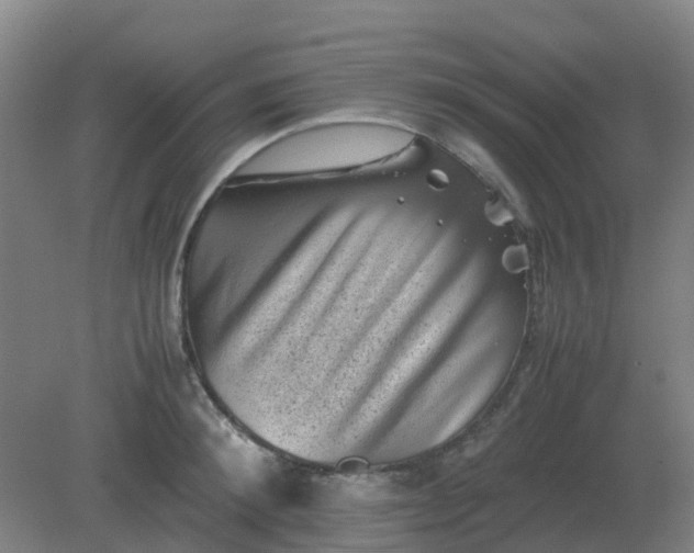 X0000082200900200702021841