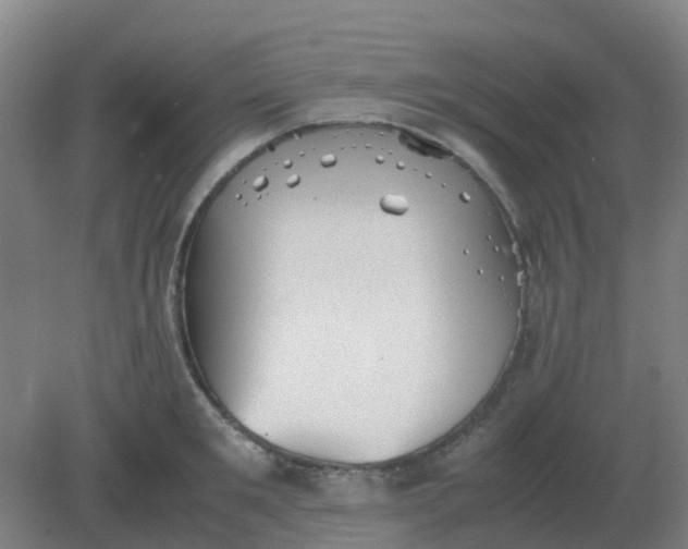 X0000082200901200702021841