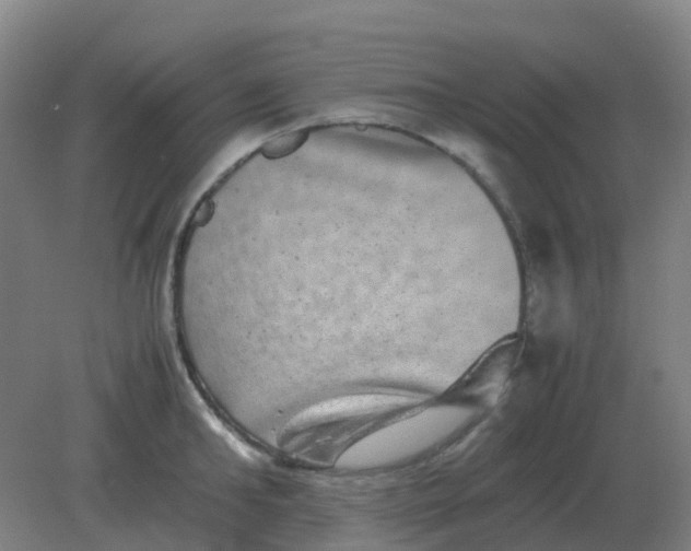 X0000082200902200702021841