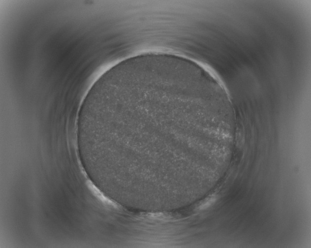 X0000082200903200702021841