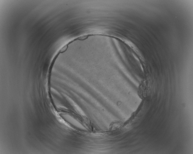 X0000082200904200702021841