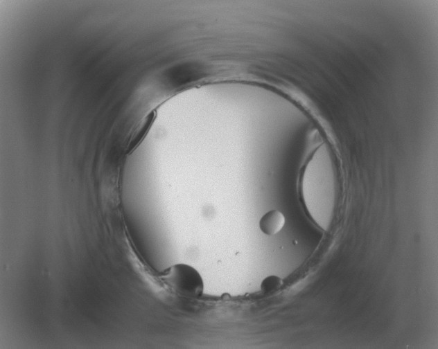 X0000082200905200702021841