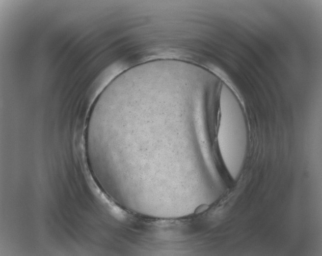 X0000082200906200702021841