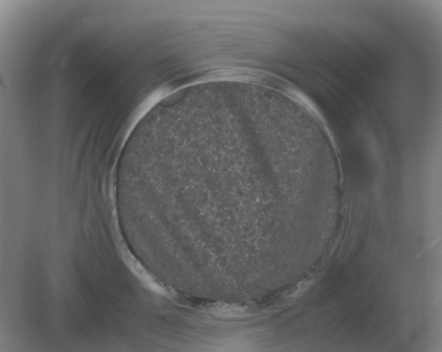 X0000082200907200702021841