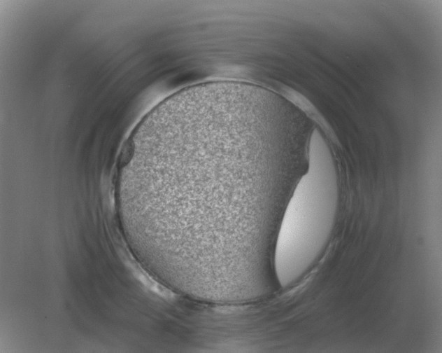 X0000082200908200702021841