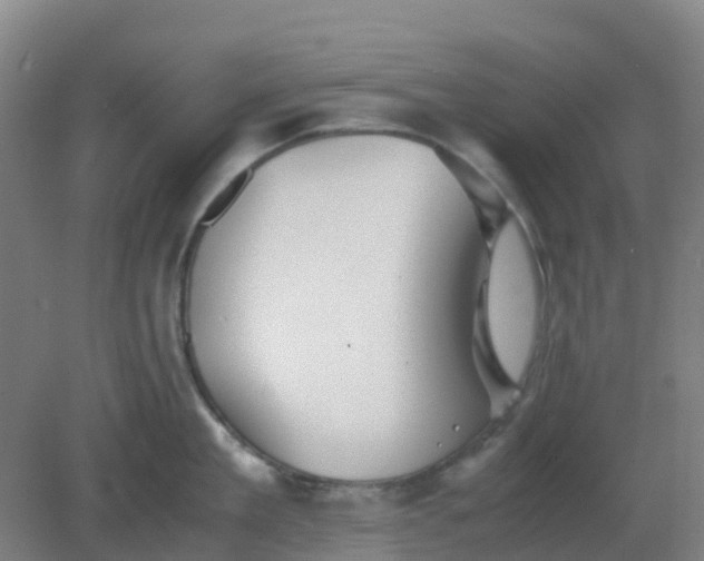 X0000082200909200702021841