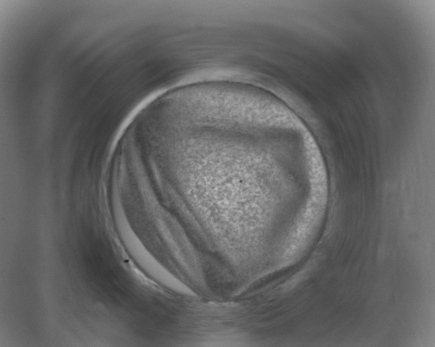 X0000082200912200702021841