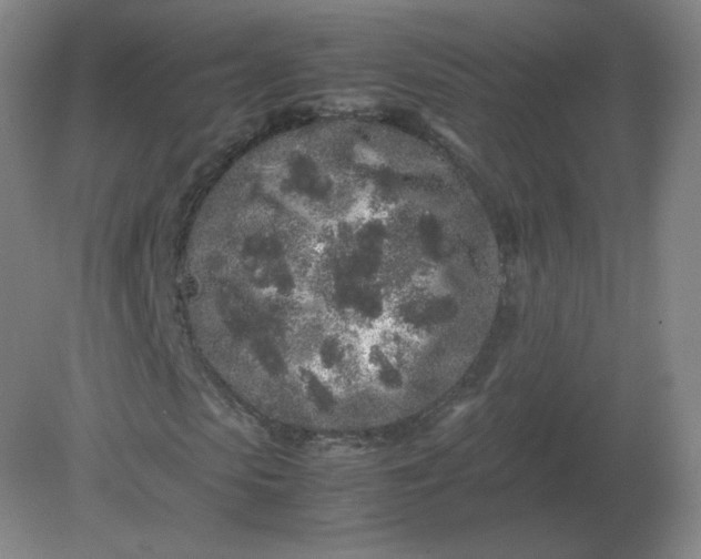 X0000082200913200702021840