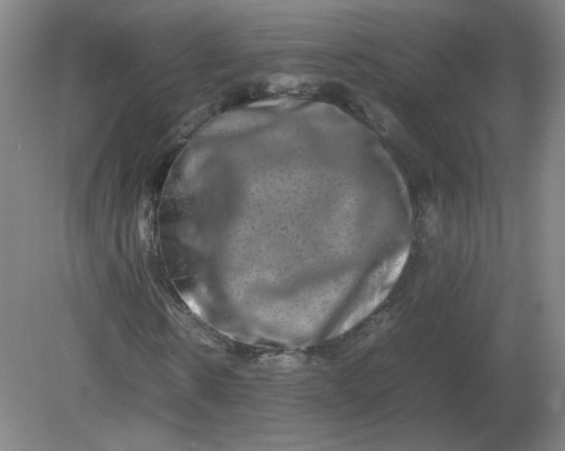 X0000082200914200702021840