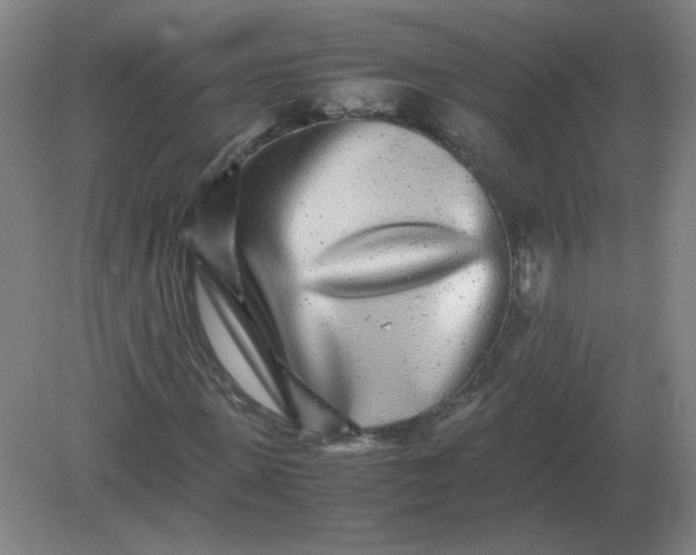 X0000082200915200702021840