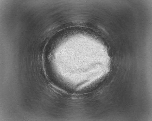 X0000082200917200702021840