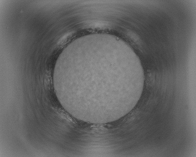 X0000082200918200702021840