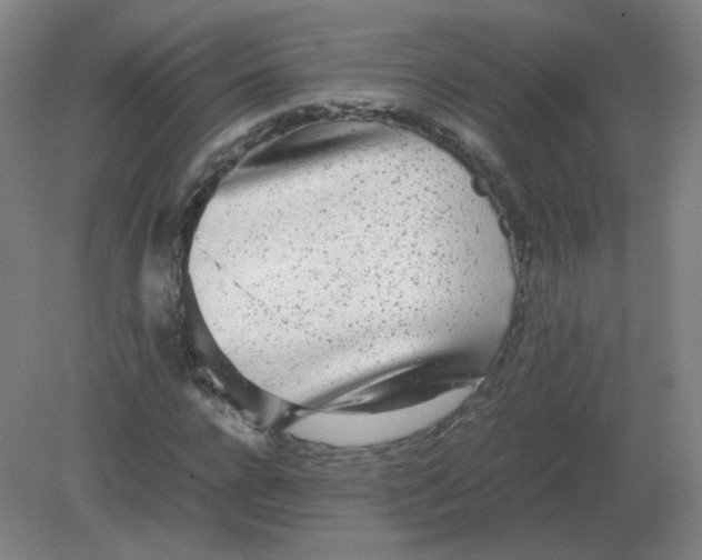 X0000082200920200702021840