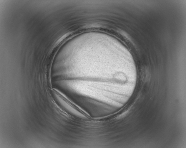 X0000082200921200702021840