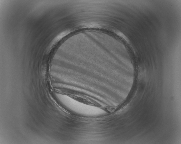 X0000082200922200702021840