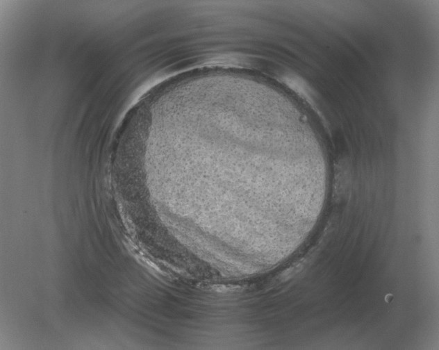 X0000082200923200702021840