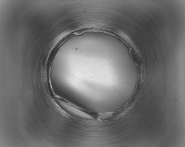 X0000082200924200702021840