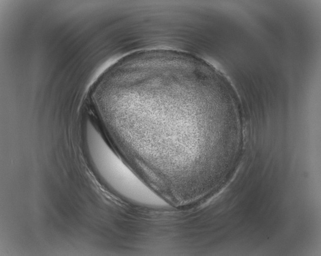 X0000082200925200702021840