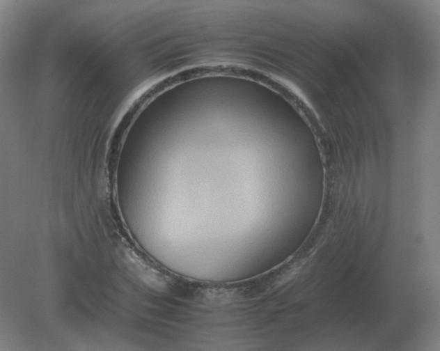 X0000082200927200702021840