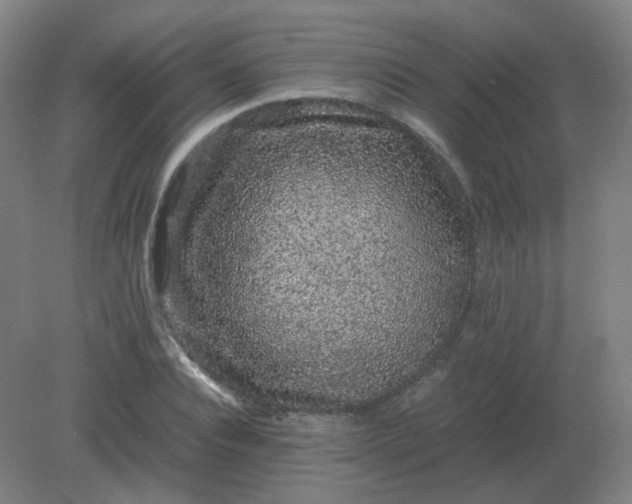 X0000082200928200702021840