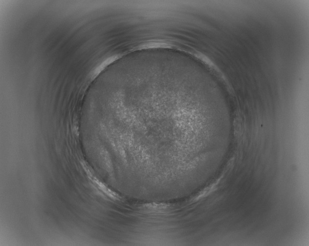 X0000082200929200702021840