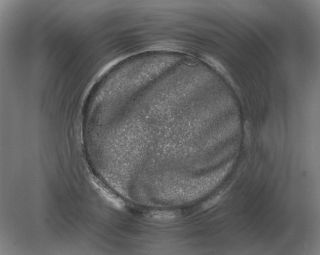 X0000082200931200702021840