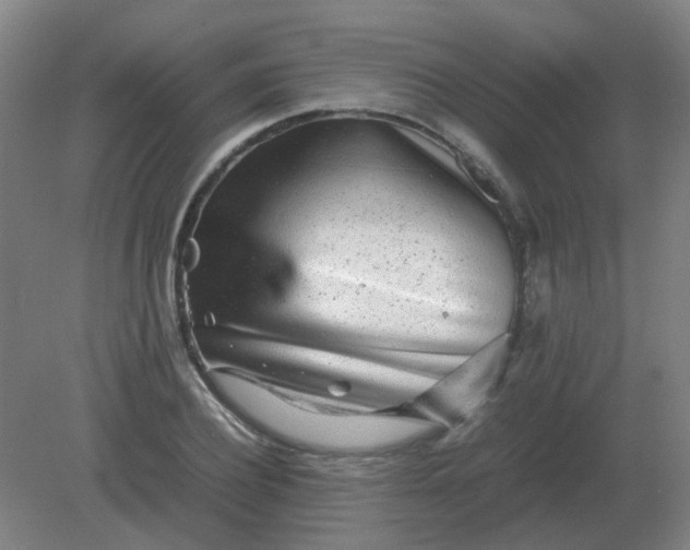 X0000082200932200702021840