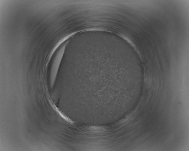 X0000082200933200702021840