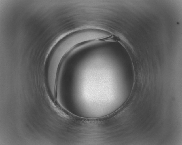 X0000082200934200702021840