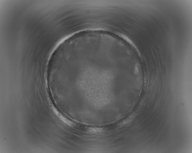 X0000082200935200702021840