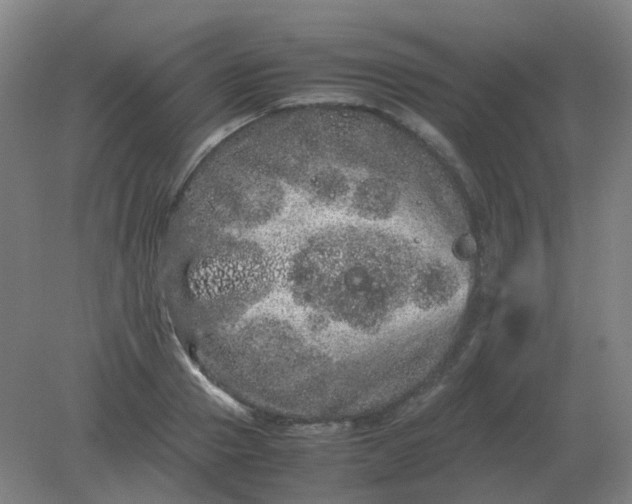 X0000082200937200702021840