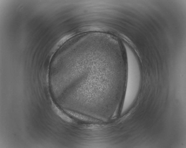 X0000082200938200702021840