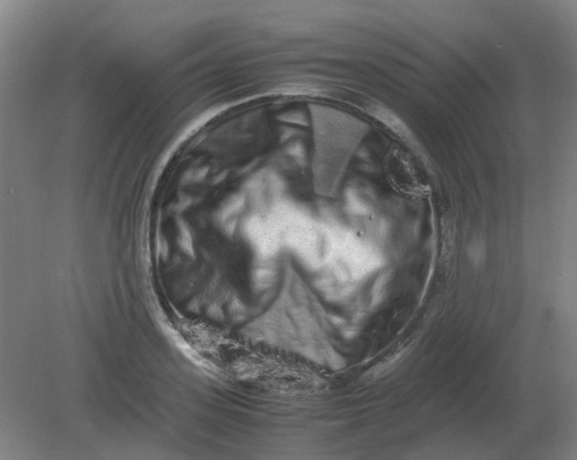 X0000082200939200702021840