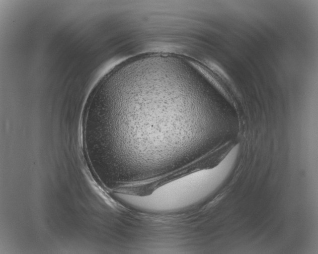 X0000082200940200702021840