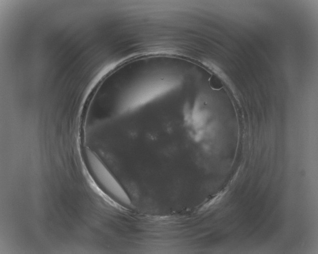 X0000082200941200702021840