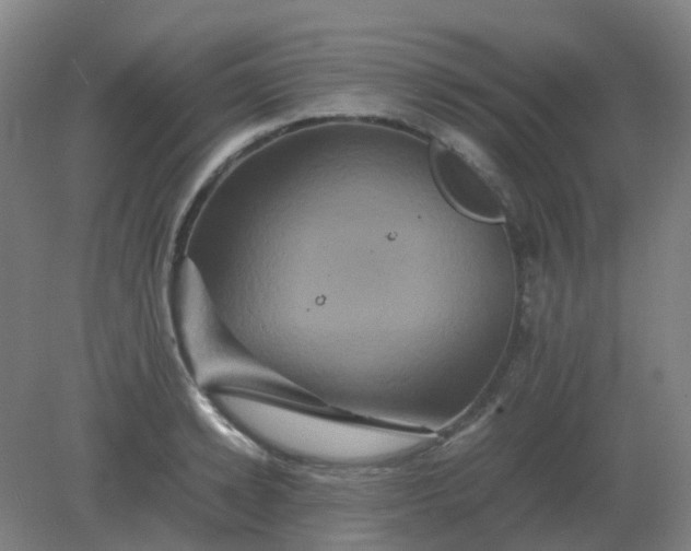 X0000082200942200702021840