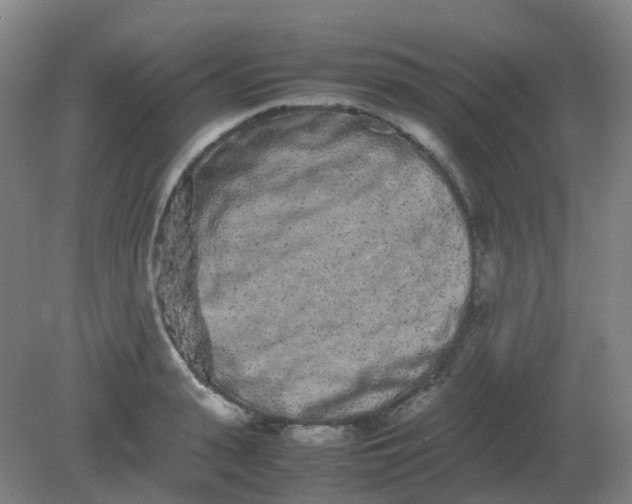 X0000082200943200702021840