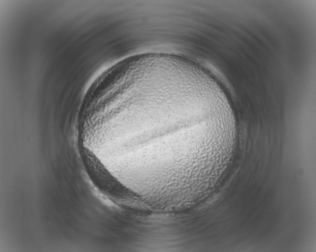 X0000082200944200702021840