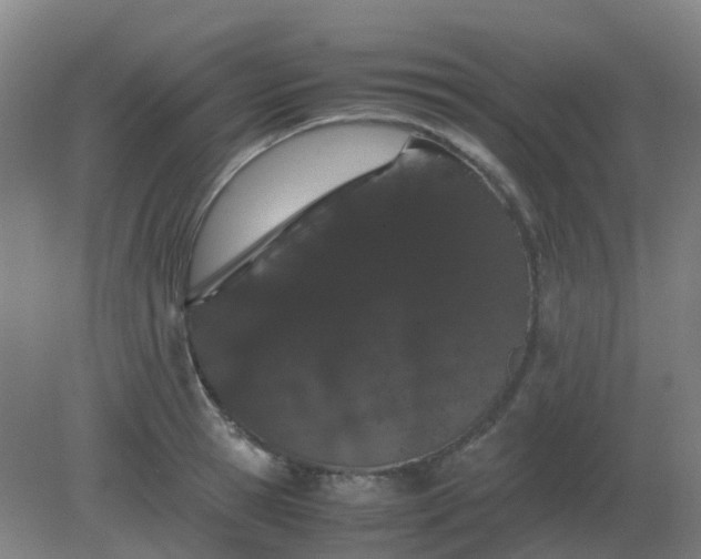 X0000082200945200702021840