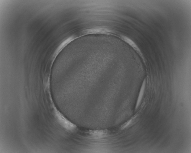 X0000082200946200702021840