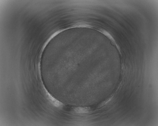 X0000082200947200702021841