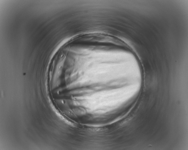 X0000082200949200702021841