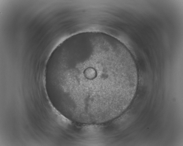 X0000082200950200702021841