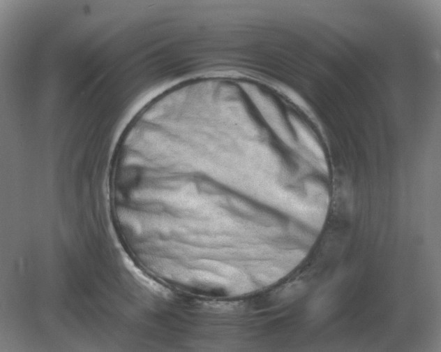 X0000082200951200702021841