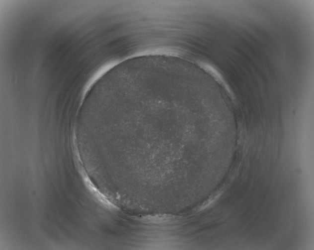 X0000082200952200702021841