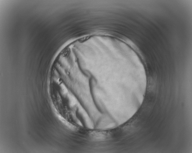 X0000082200955200702021841