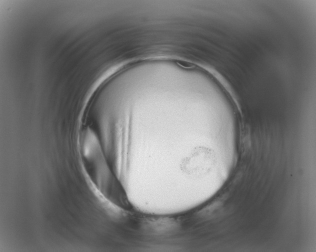 X0000082200957200702021841