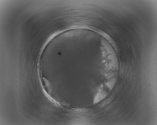 X0000082200958200702021841