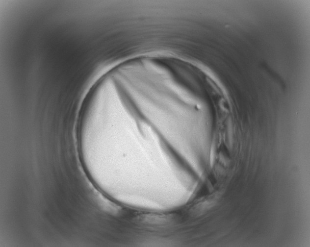 X0000082200959200702021841