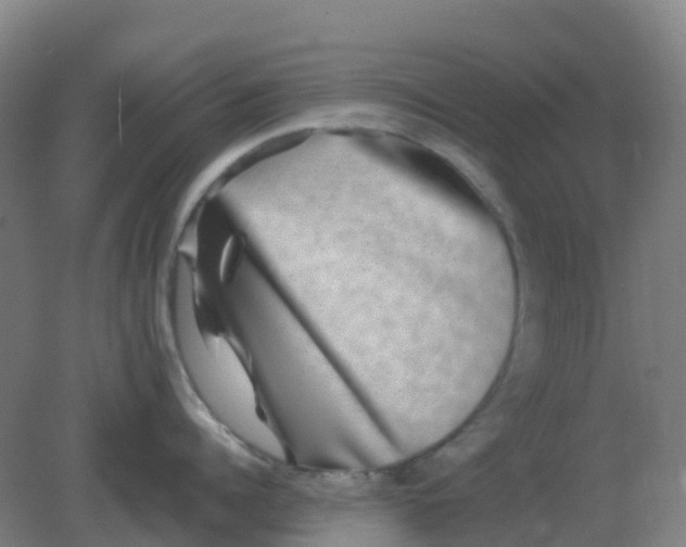 X0000082200960200702021841